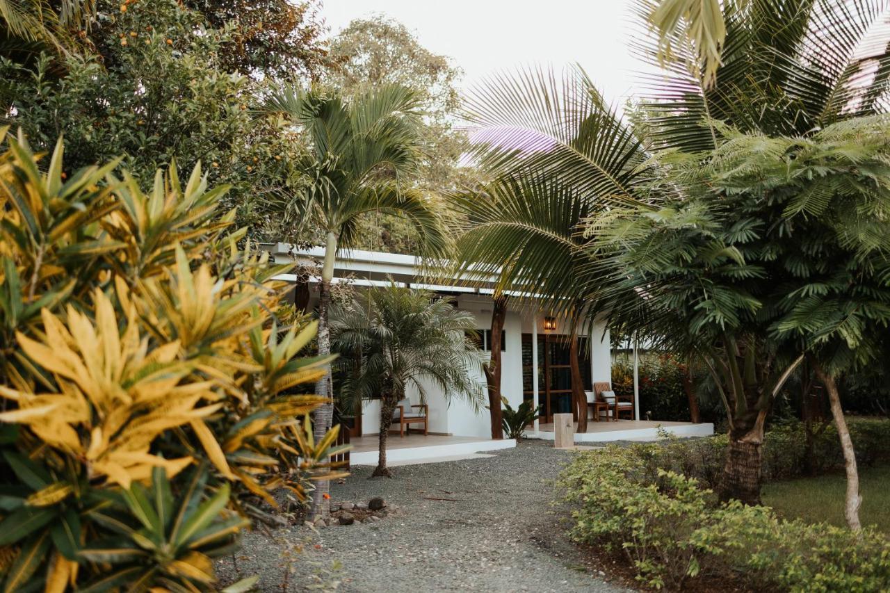 Salvatierra Beachfront Hotel Puerto Coyote Kültér fotó